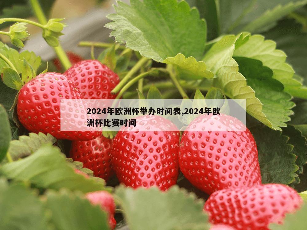 2024年欧洲杯举办时间表,2024年欧洲杯比赛时间