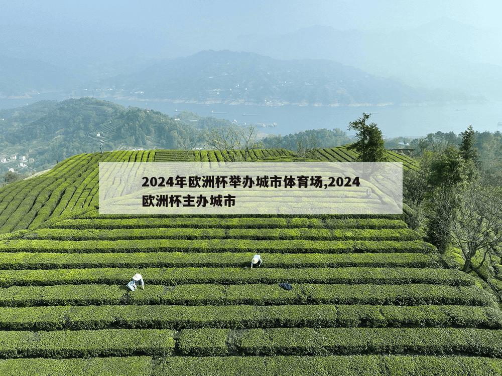 2024年欧洲杯举办城市体育场,2024欧洲杯主办城市