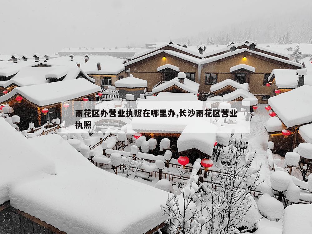 雨花区办营业执照在哪里办,长沙雨花区营业执照