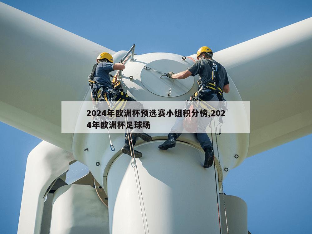 2024年欧洲杯预选赛小组积分榜,2024年欧洲杯足球场