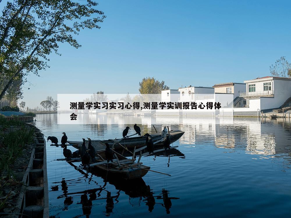 测量学实习实习心得,测量学实训报告心得体会